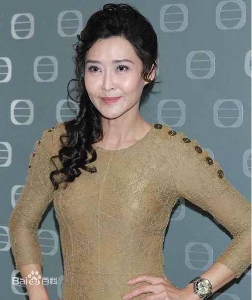 叶玉卿 复出后做客节目照片性感图片壁纸