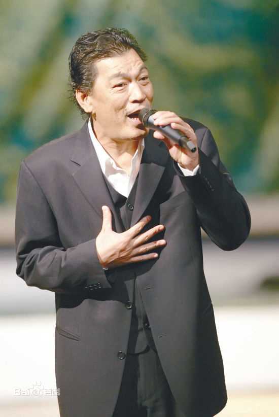 大傻(Fui-On Shing)成奎安素颜照相册