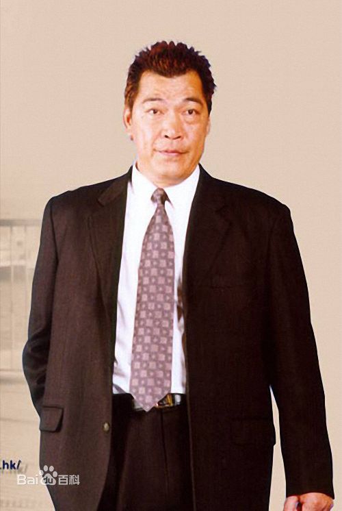 大傻(Fui-On Shing)成奎安素颜照相册