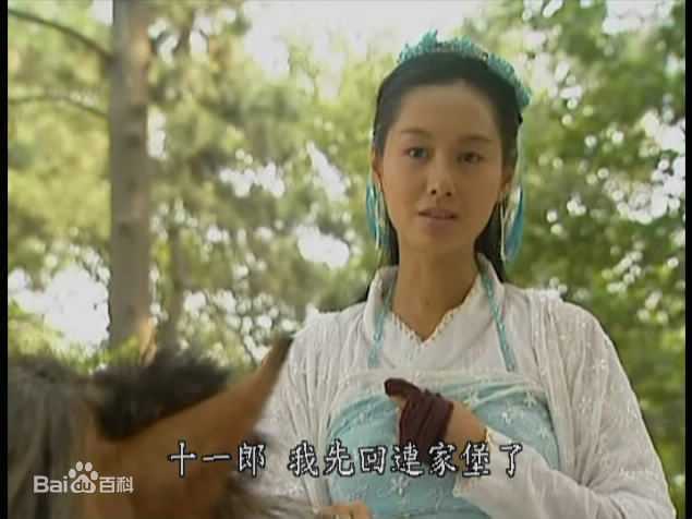 朱茵(Athena Chu)饰沈璧君图册