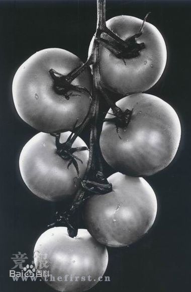 周润发(Chow Yun Fat)摄影作品集素颜照壁纸