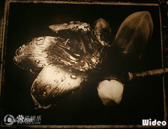 周润发(Chow Yun Fat)摄影作品集素颜照壁纸