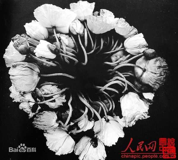 周润发(Chow Yun Fat)摄影作品集素颜照壁纸