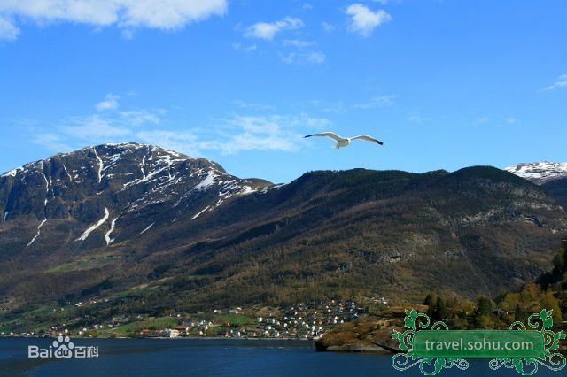 最全张学友(Jacky Cheung)精彩图册