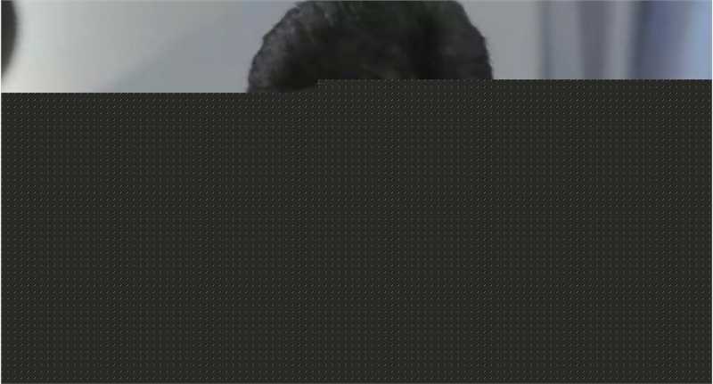 精选张学友(Jacky Cheung)精彩图册