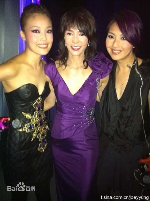 郑裕玲(Carol Cheng)日常工作图册