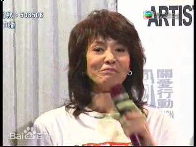 郑裕玲(Carol Cheng)“情系玉树 关爱行动”活动照性感图片图集