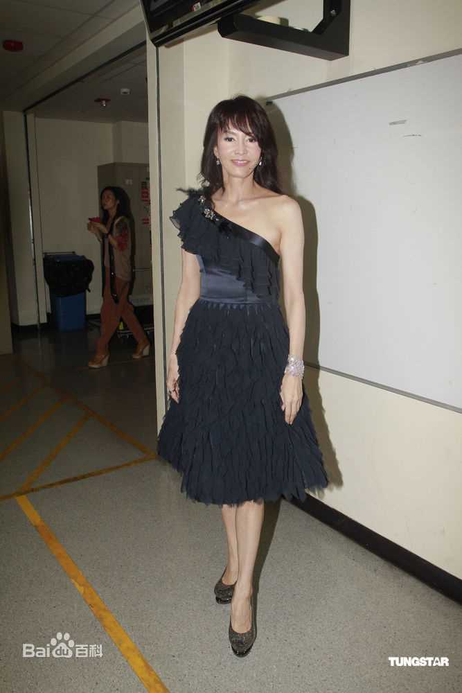 最优质郑裕玲(Carol Cheng)精彩图册