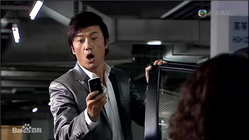 高清苗侨伟(Michael Miu)在《刑警2010》重案组高级督察米安定中的图集