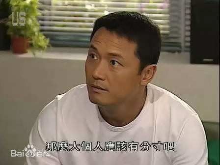 精选苗侨伟(Michael Miu)在2005《学警雄心》饰李文升中的图册