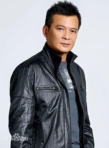 最全黄日华(Felix Wong Yat Wa)壁纸