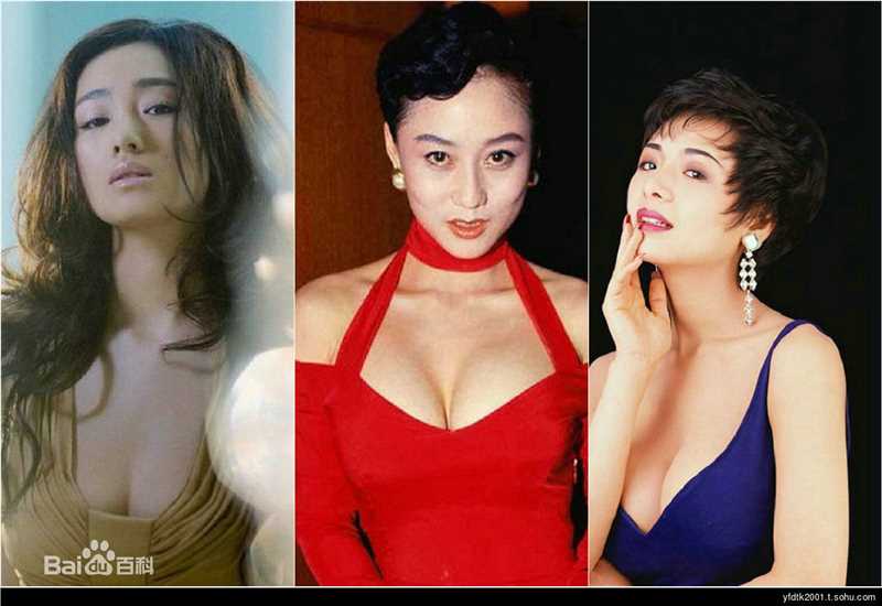 精选叶子媚(Amy Yip)