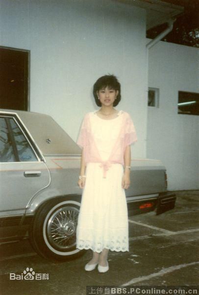 高清辛树芬精彩图册