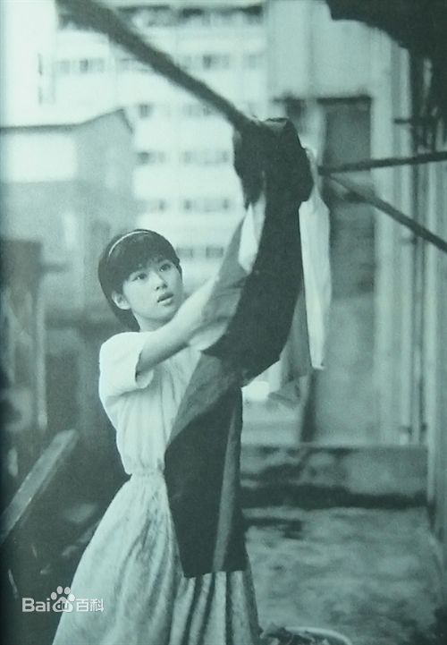 高清辛树芬精彩图册