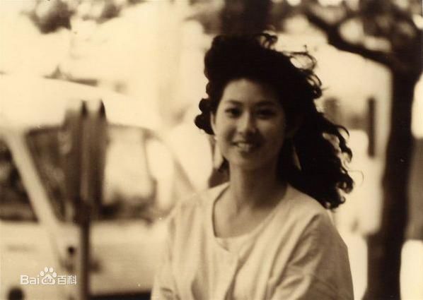 高清辛树芬精彩图册