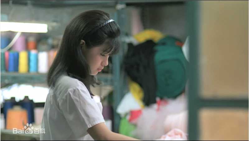 高清辛树芬精彩图册