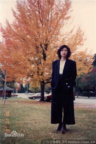 高清辛树芬精彩图册