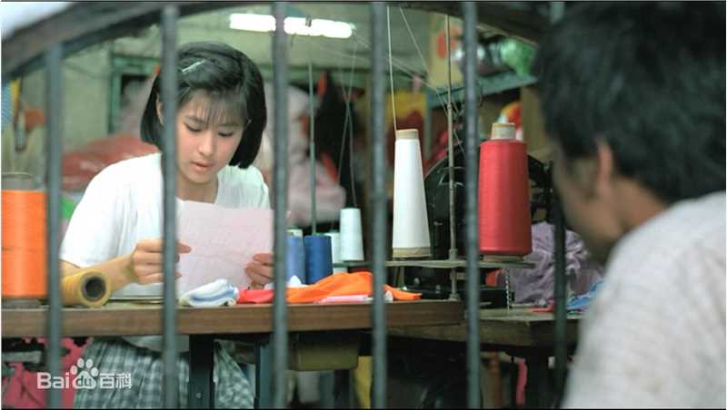 高清辛树芬精彩图册