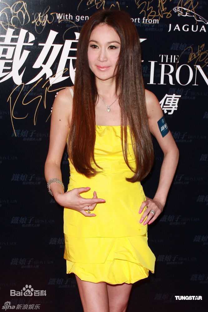 高清温碧霞(Irene Wan)精彩图册