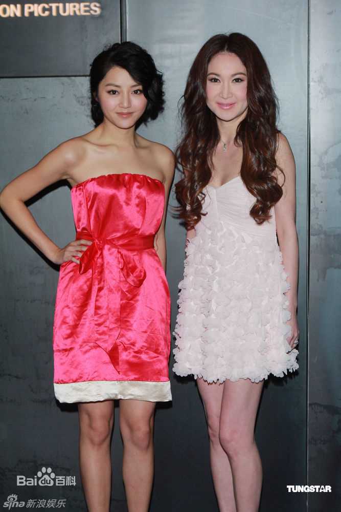 最优质温碧霞(Irene Wan)精彩图册