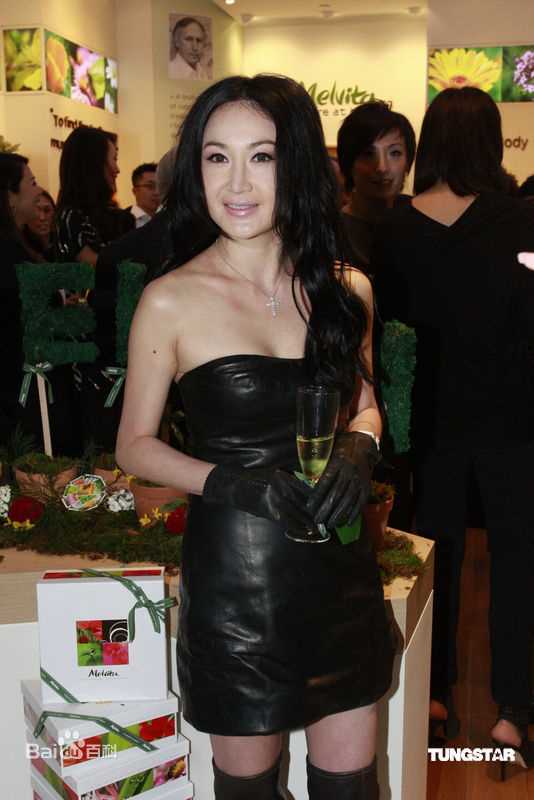 最优质温碧霞(Irene Wan)精彩图册