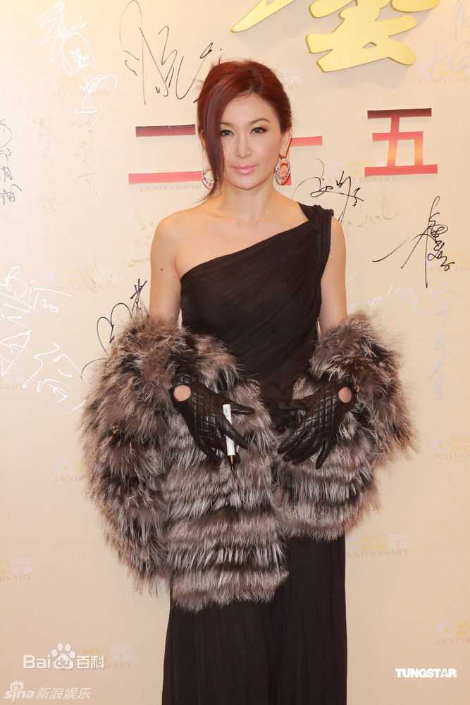 最优质温碧霞(Irene Wan)精彩图册