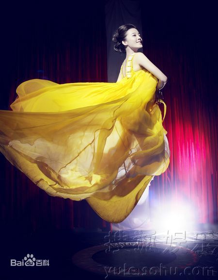 最优质温碧霞(Irene Wan)精彩图册