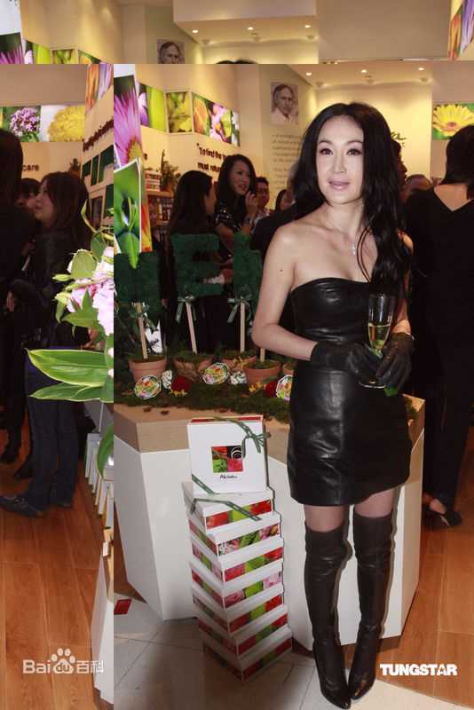 最优质温碧霞(Irene Wan)精彩图册