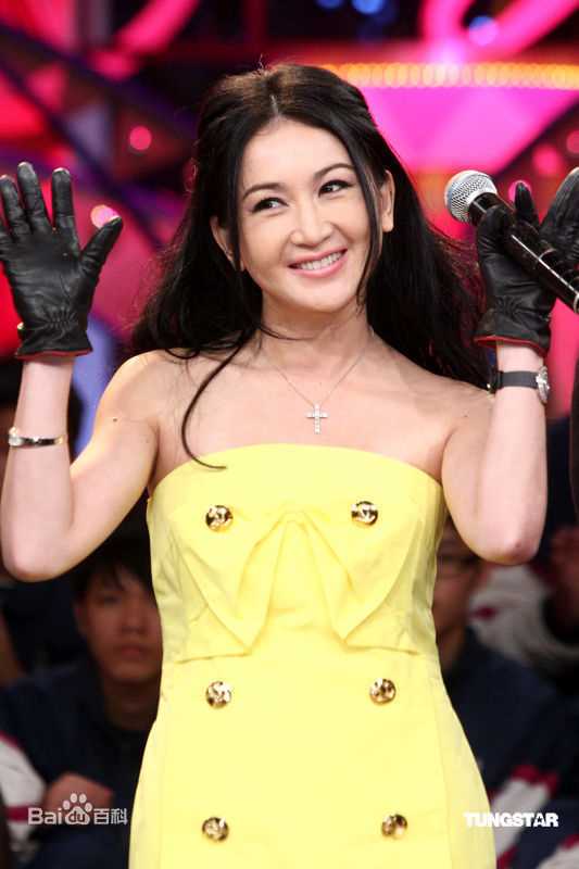 最优质温碧霞(Irene Wan)精彩图册