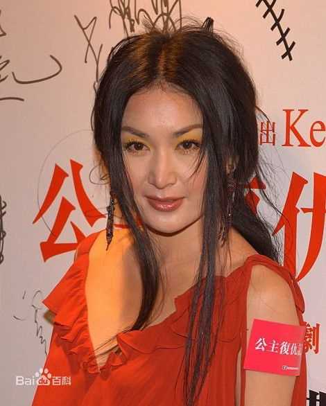 最优质温碧霞(Irene Wan)在2009年《公主复仇记》发布会中的相册