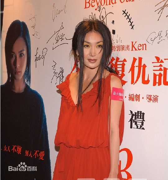 最优质温碧霞(Irene Wan)在2009年《公主复仇记》发布会中的相册