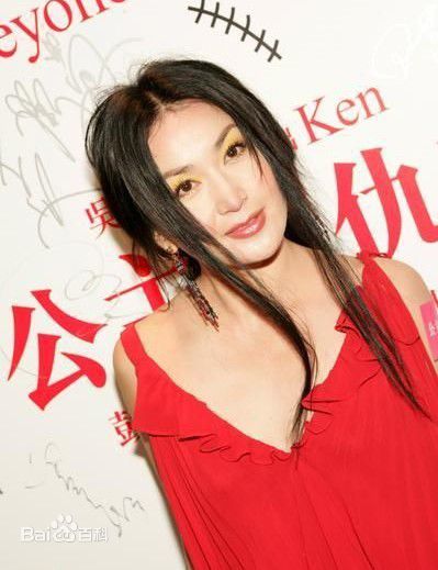 最优质温碧霞(Irene Wan)在2009年《公主复仇记》发布会中的相册