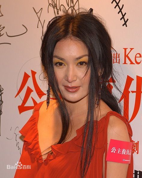 最优质温碧霞(Irene Wan)在2009年《公主复仇记》发布会中的相册