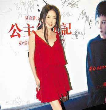 最优质温碧霞(Irene Wan)在2009年《公主复仇记》发布会中的相册
