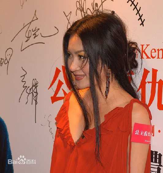 最优质温碧霞(Irene Wan)在2009年《公主复仇记》发布会中的相册