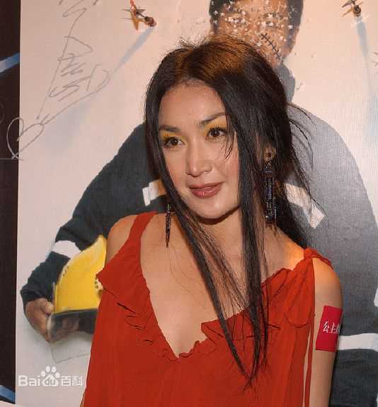 最优质温碧霞(Irene Wan)在2009年《公主复仇记》发布会中的相册