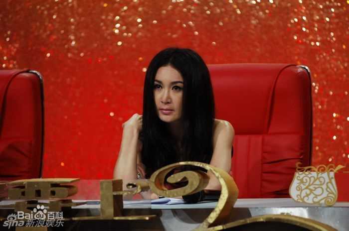 最优质温碧霞(Irene Wan)精彩图册