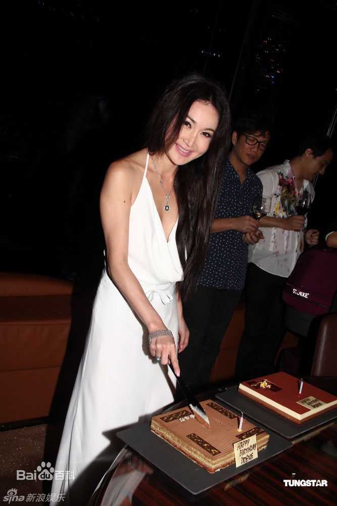 最优质温碧霞(Irene Wan)精彩图册