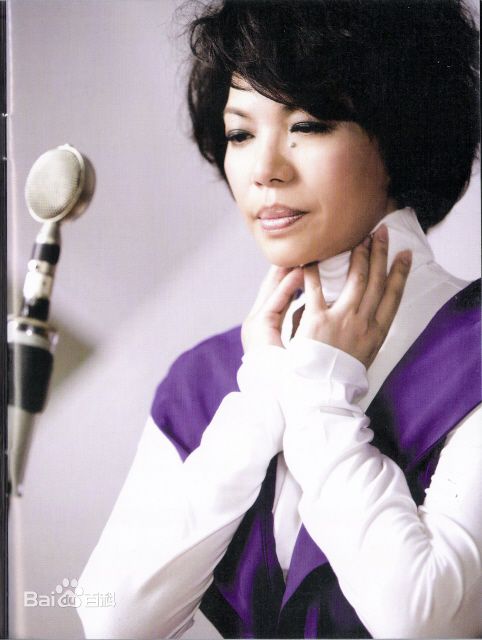 精选蔡琴(Tsai Chin)
