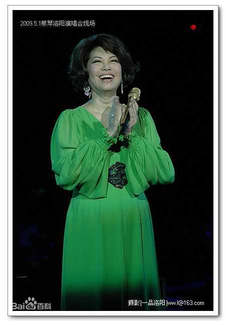 蔡琴(Tsai Chin) 演唱会壁纸壁纸