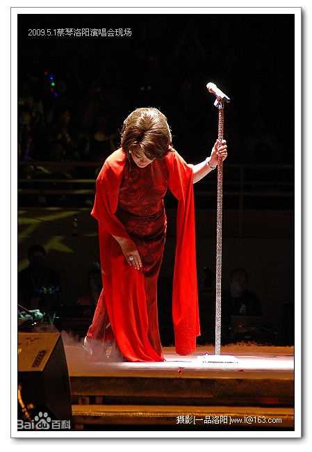 蔡琴(Tsai Chin) 演唱会壁纸壁纸