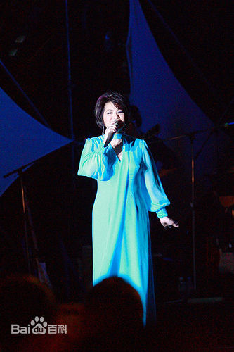 蔡琴(Tsai Chin) 演唱会壁纸壁纸