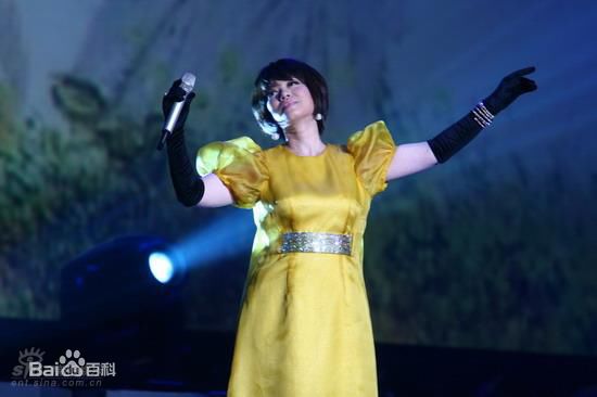 蔡琴(Tsai Chin) 演唱会壁纸壁纸