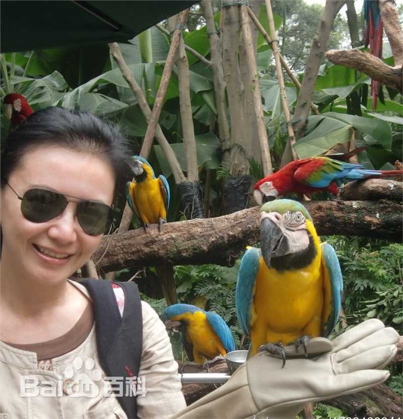 曾华倩(Margie Tsang)生活照素颜照壁纸