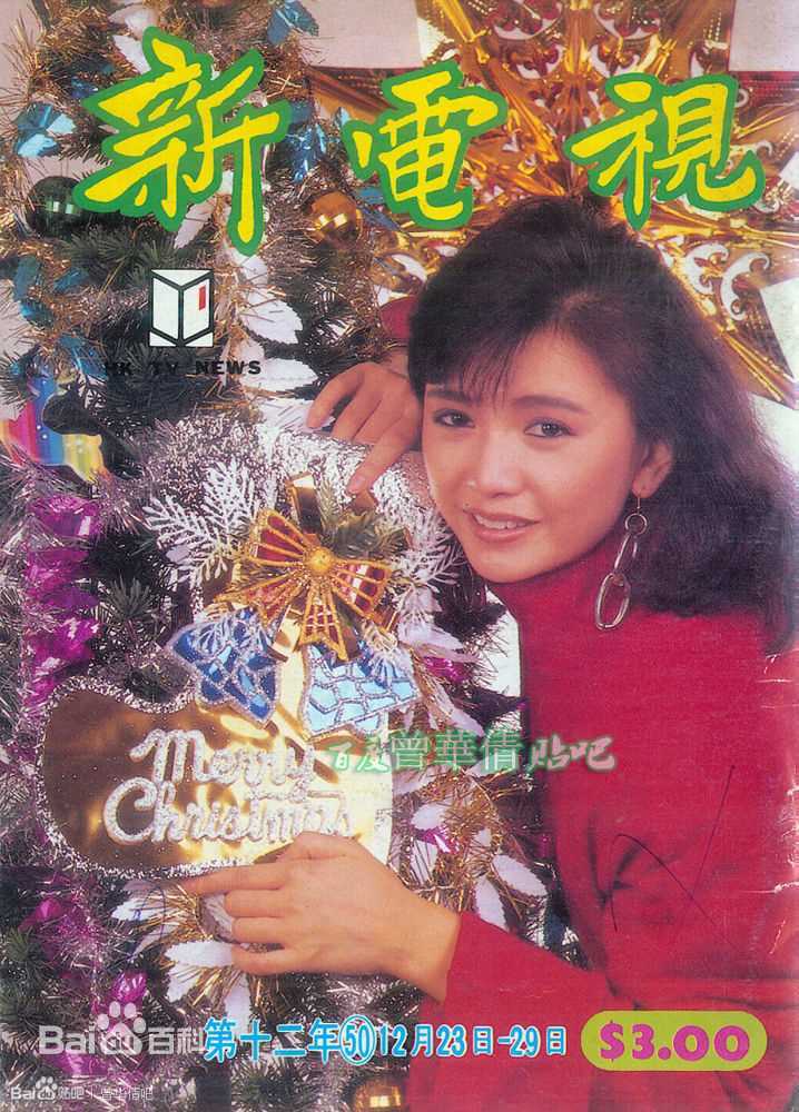 曾华倩(Margie Tsang)香港电视欢乐无线新电视生活照相册