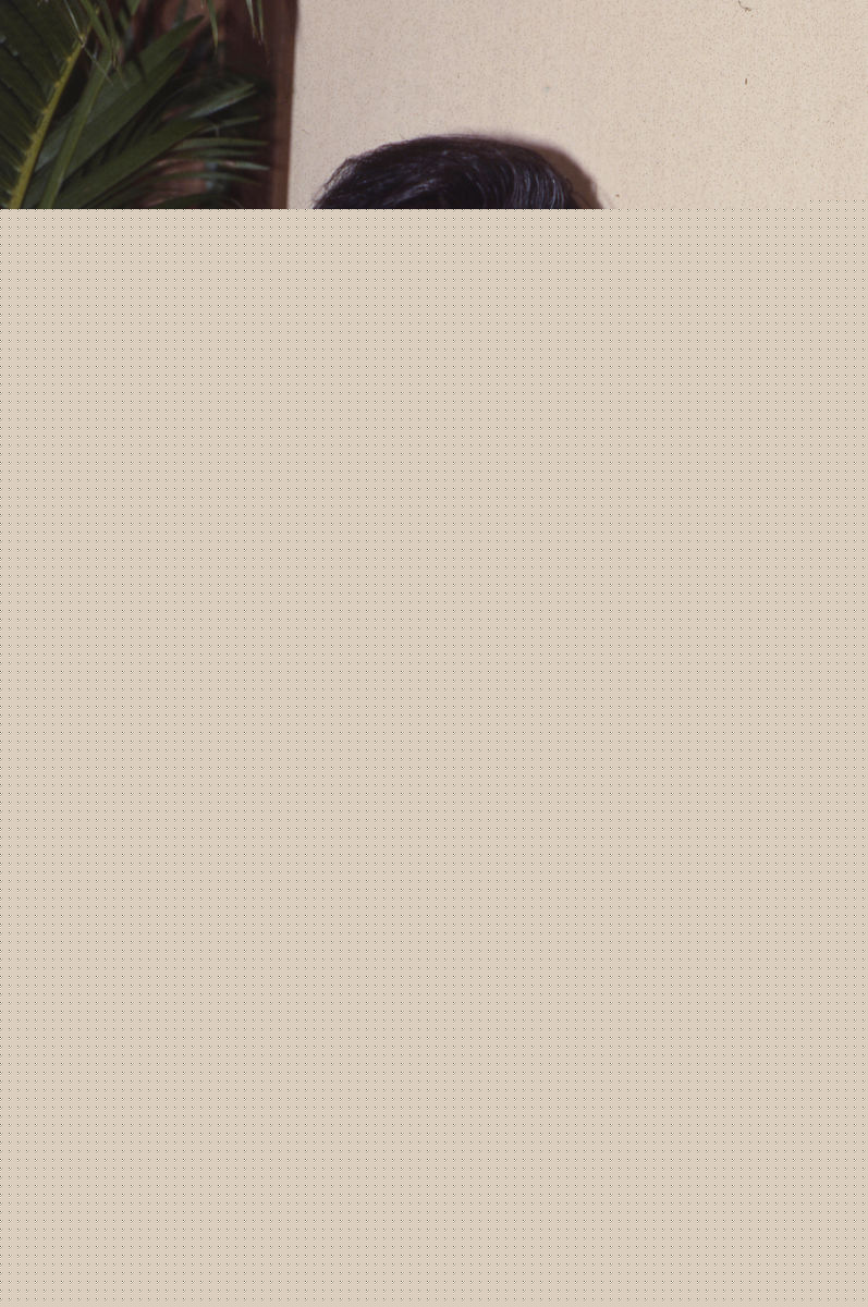 曾华倩(Margie Tsang)最优质海报彩页相册