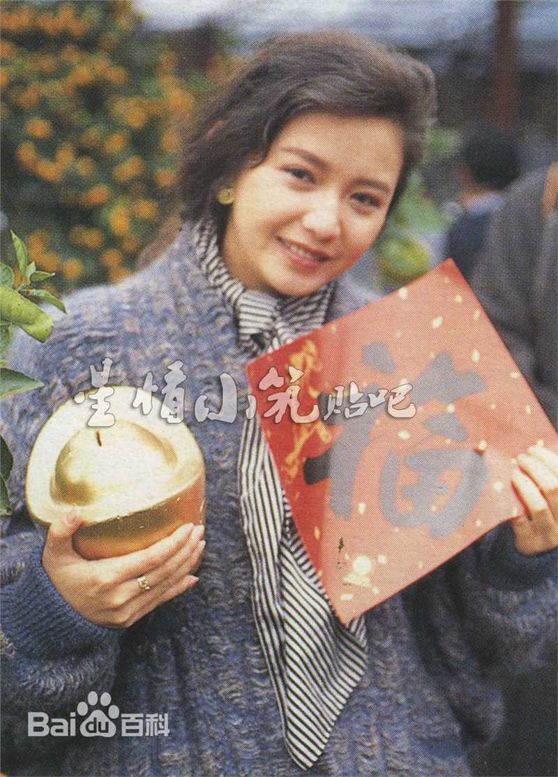 曾华倩(Margie Tsang)最优质海报彩页相册