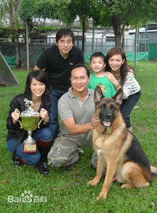 精选曾华倩(Margie Tsang)