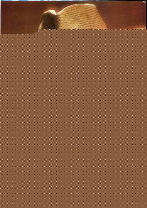 最全钟楚红(Cherie Chung)精彩图册