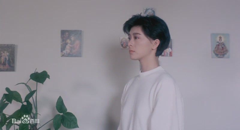 夏文汐(Patricia Ha、Pat Ha、Ha Man Chik)前后照片